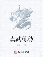 真武称尊 小说