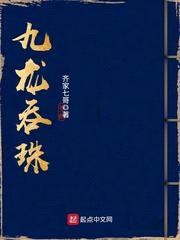 九龙吞珠小说249最新章节