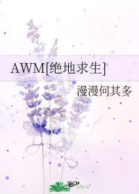 awm 绝地求生百度网盘