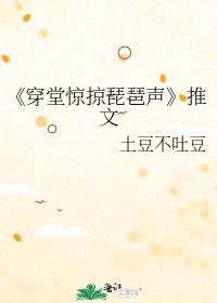 穿堂惊掠琵琶声完结了吗