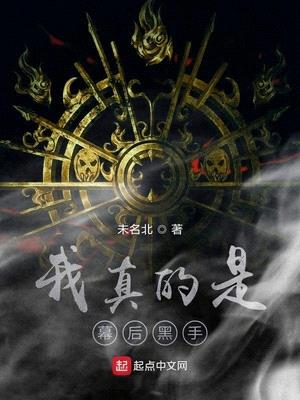 我真的是幕后黑手精校版