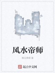 风水帝师电视剧